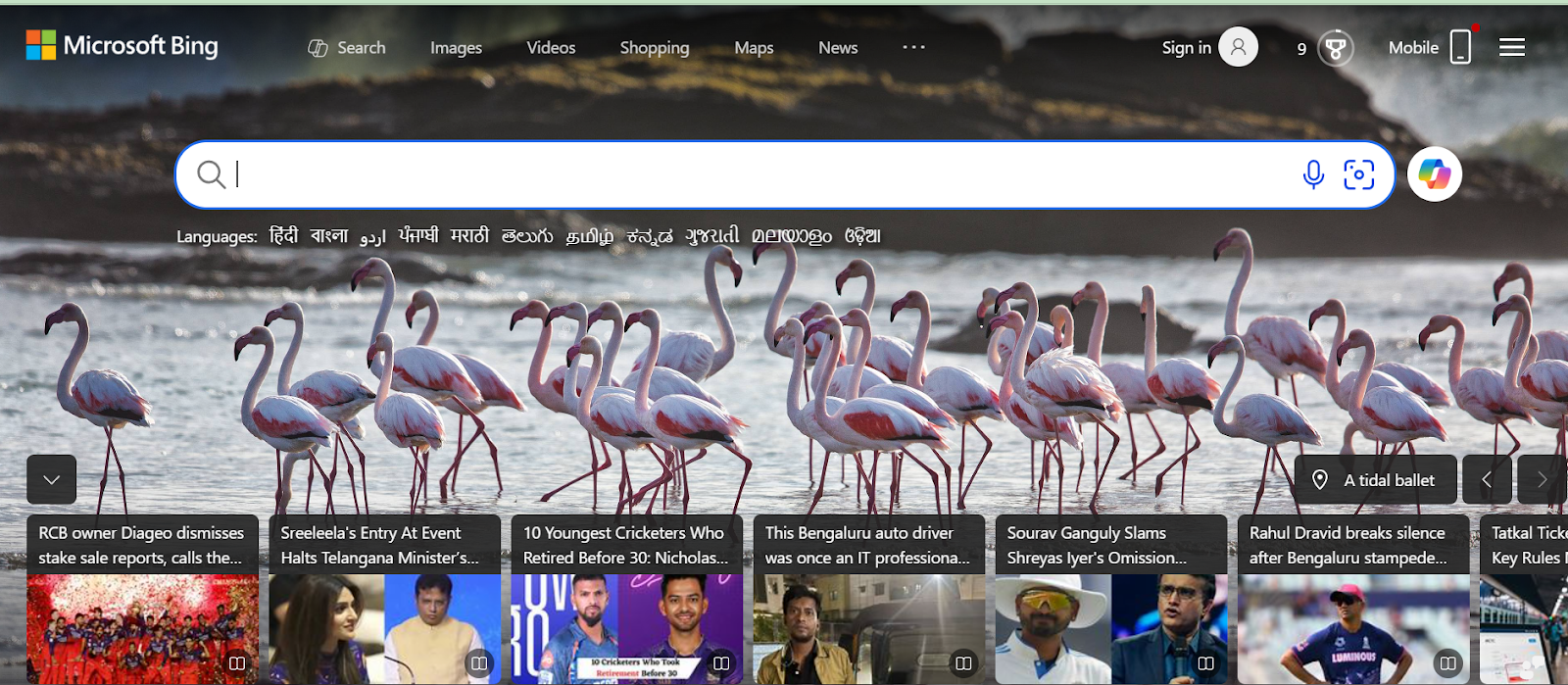 Top Search Engines List to Try Beyond Google