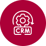 crm-development-service