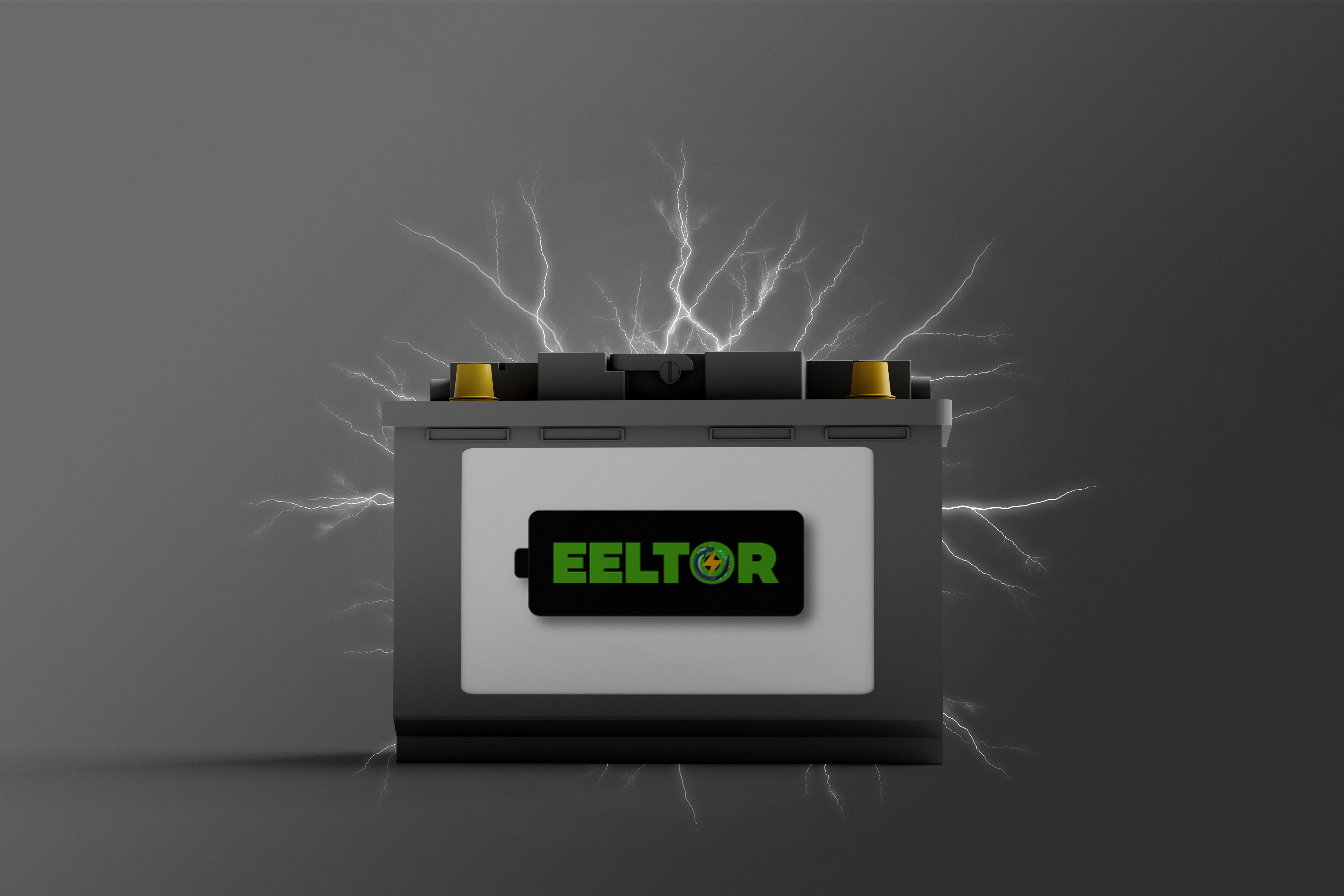 eeltor-mockup-image